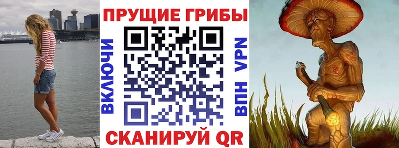 Псилоцибиновые грибы ЛСД  Апрелевка 